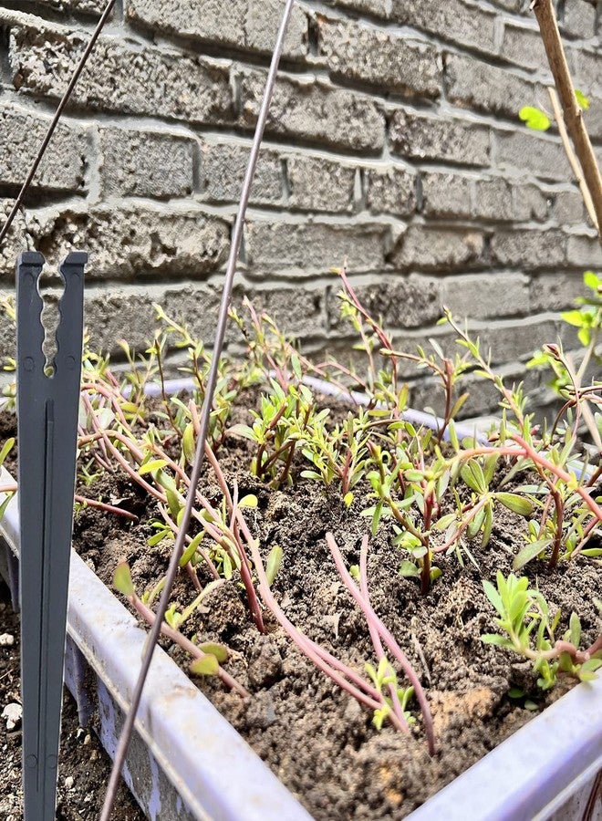 MYYZMY 80 Pcs Irrigation Drip Support Stakes 1/8-1/4" Universal Drip Lines Tubing Hose for Gardens, Flowers, Plants, Vegetable - Image 5